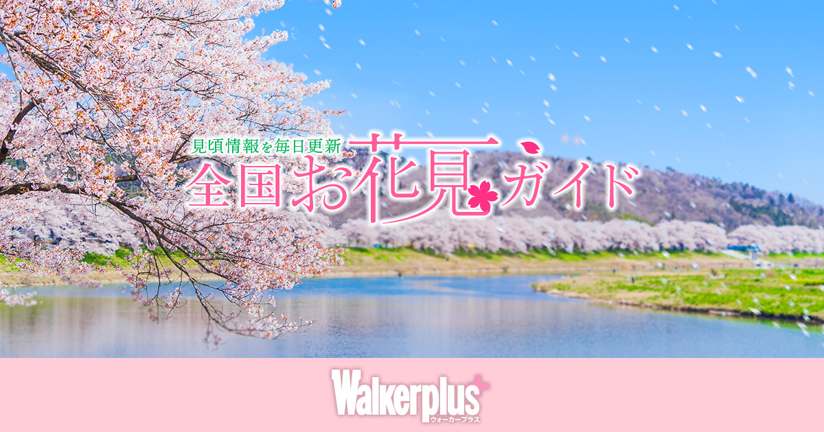 [問題]請推薦三月中的廣島櫻花景點