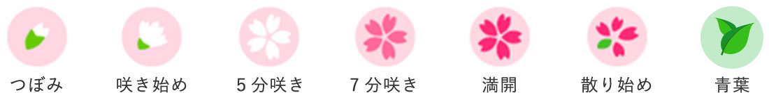 表記に関する説明